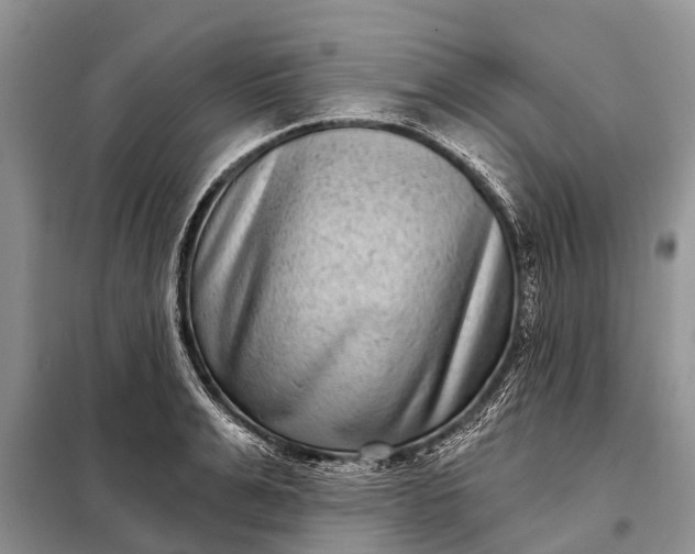 X0000097970991200804071053