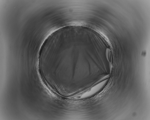 X0000097970992200804071053