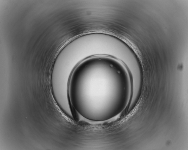 X0000097970993200804071053