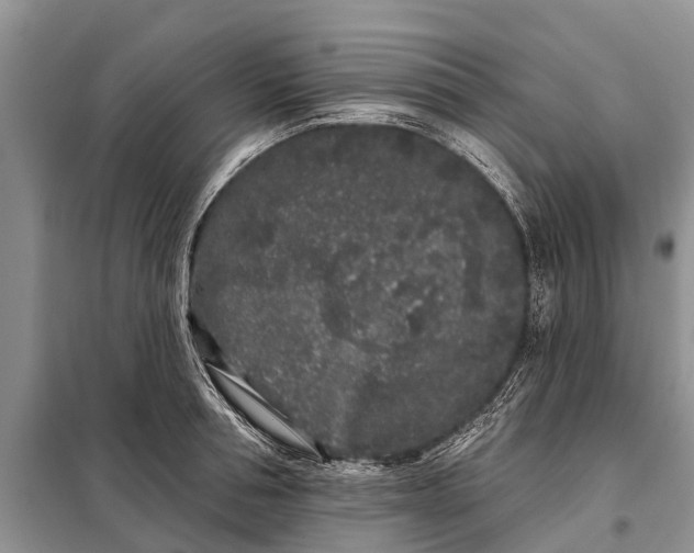 X0000097970994200804071053