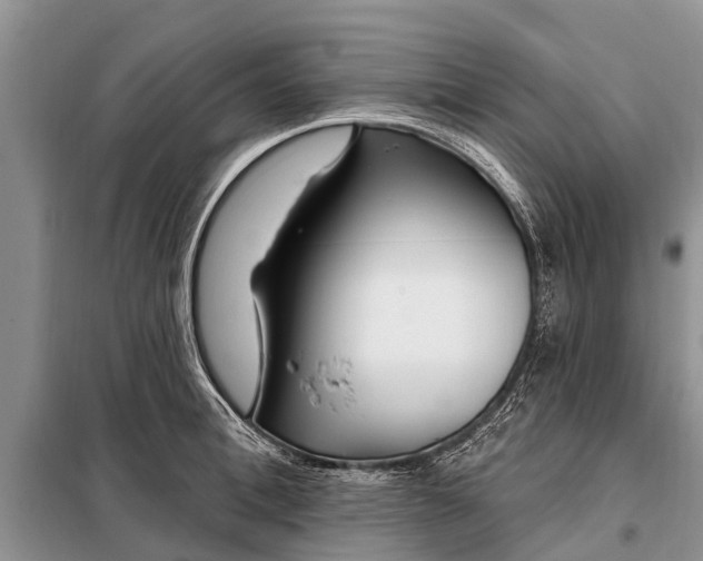 X0000097970996200804071053