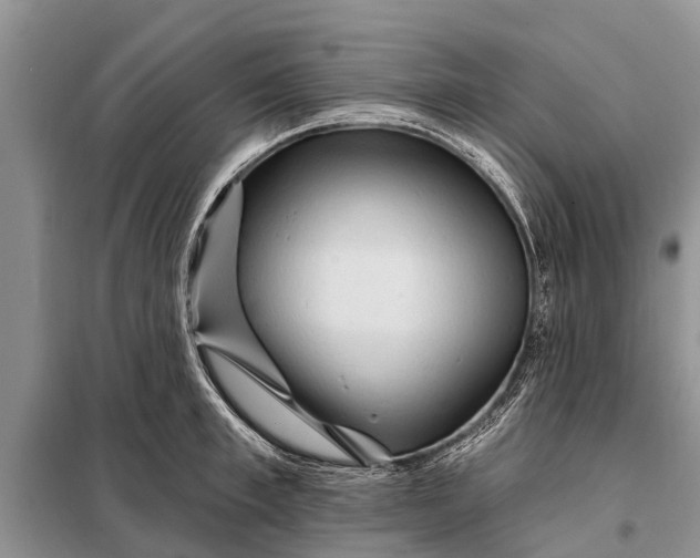 X0000097970997200804071053