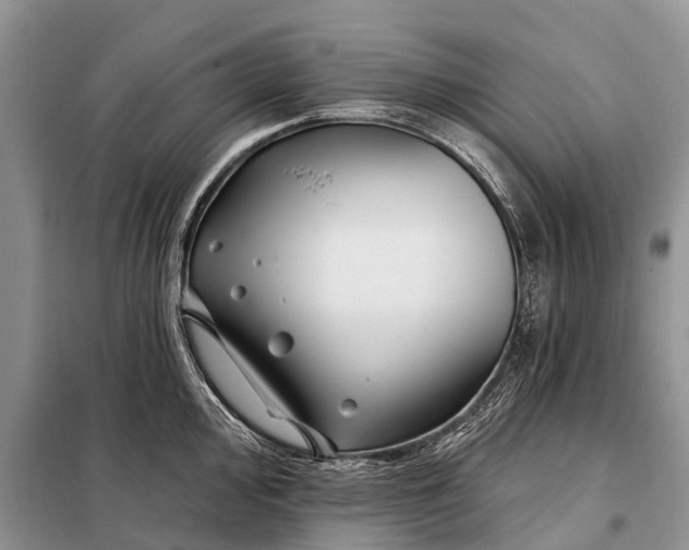 X0000097971000200804071053