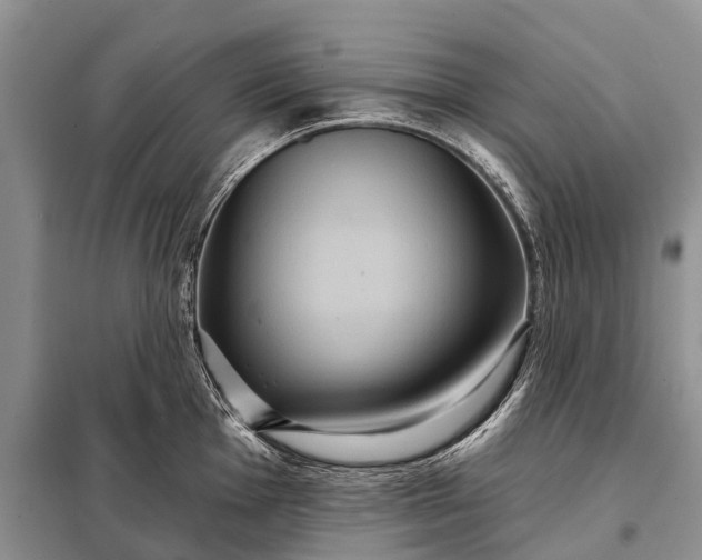 X0000097971001200804071053