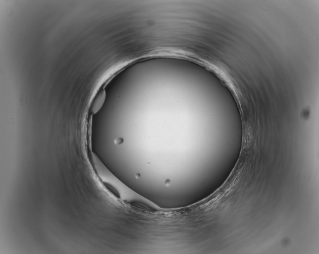 X0000097971003200804071053