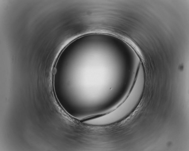 X0000097971004200804071053