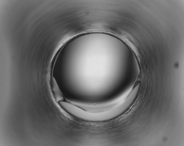 X0000097971005200804071053