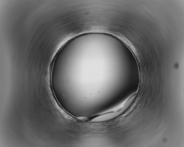 X0000097971006200804071053