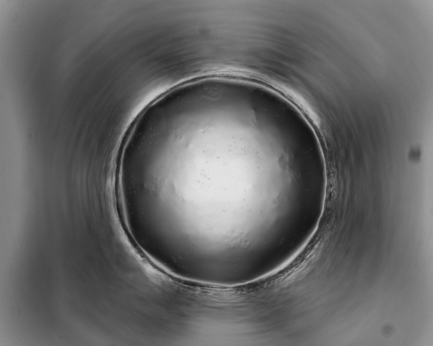 X0000097971007200804071053