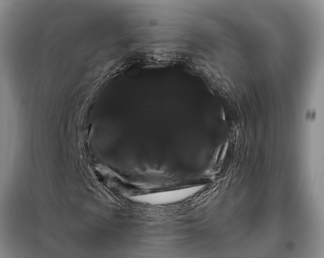 X0000097971009200804071052