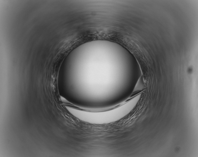 X0000097971010200804071052