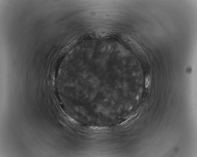 X0000097971011200804071052