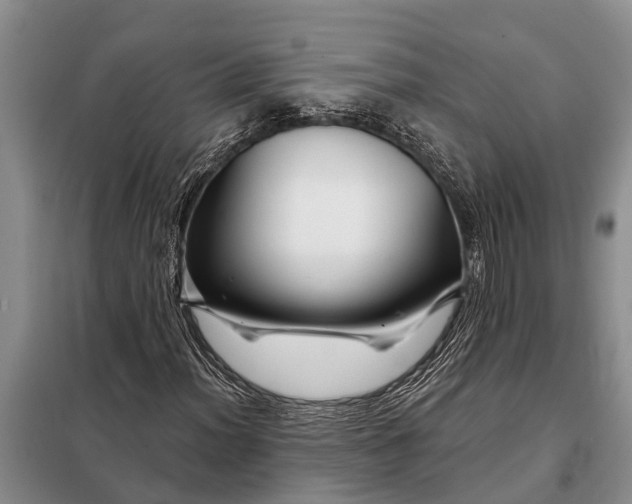 X0000097971012200804071052