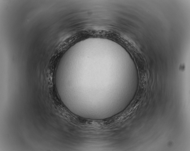 X0000097971013200804071052