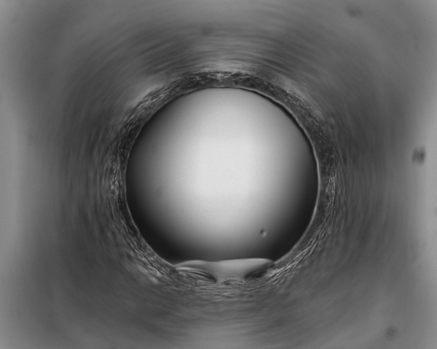 X0000097971014200804071052