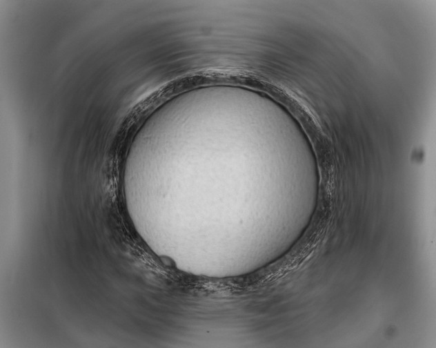 X0000097971015200804071052