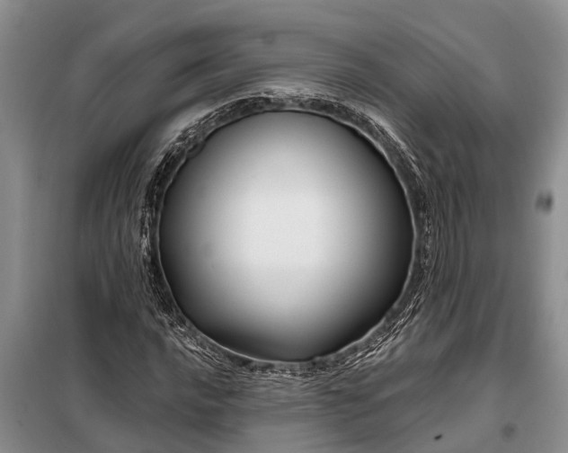 X0000097971016200804071052