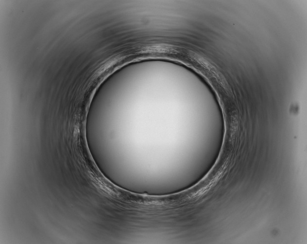 X0000097971017200804071052