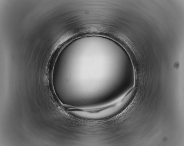 X0000097971018200804071052