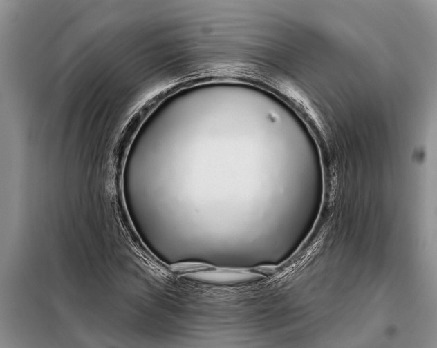 X0000097971019200804071052