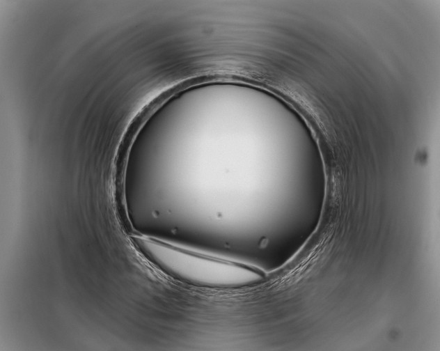 X0000097971020200804071052