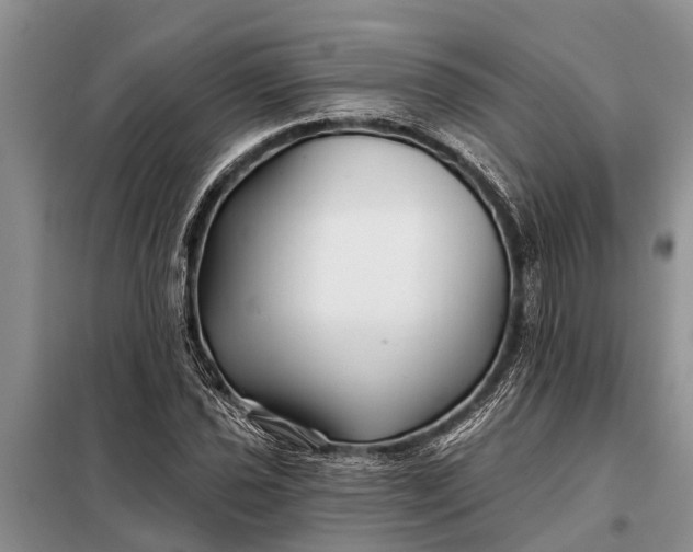 X0000097971021200804071053