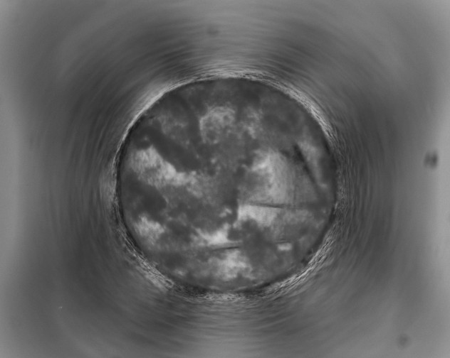 X0000097971023200804071053