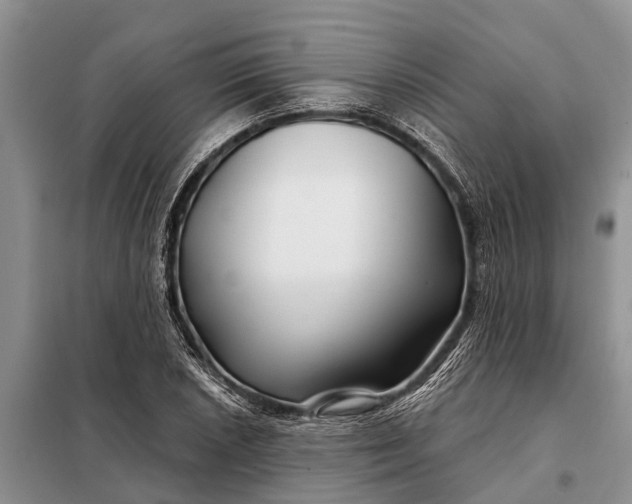 X0000097971026200804071053