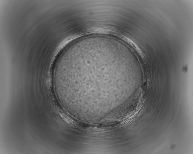 X0000097971027200804071053