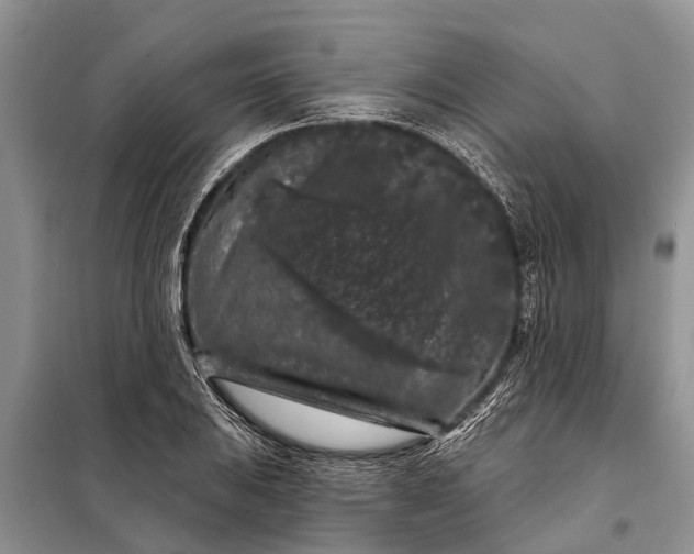 X0000097971031200804071053