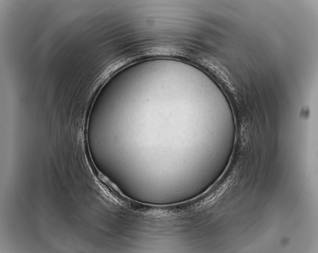 X0000097971033200804071053