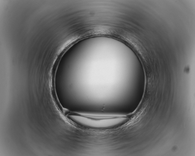 X0000097971034200804071053