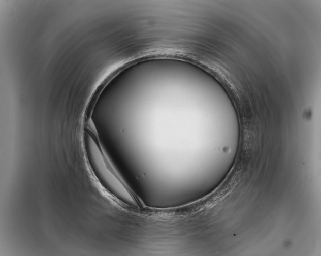 X0000097971038200804071053