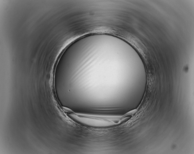 X0000097971044200804071053