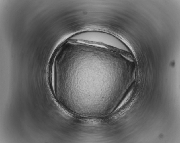 X0000097971045200804071053