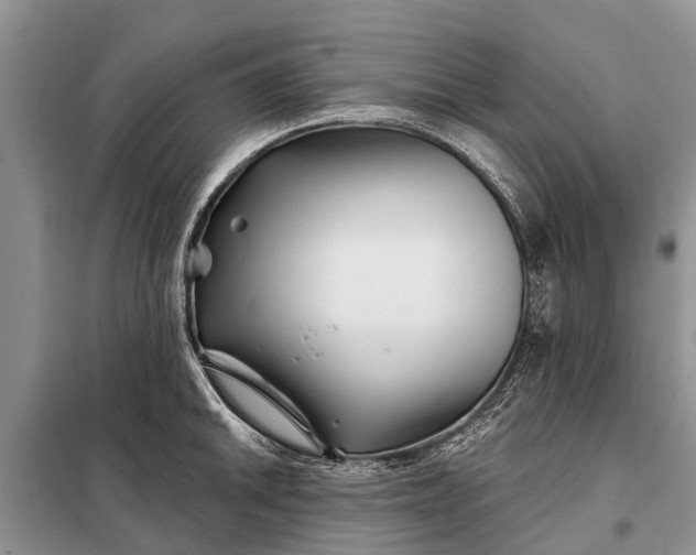 X0000097971046200804071053