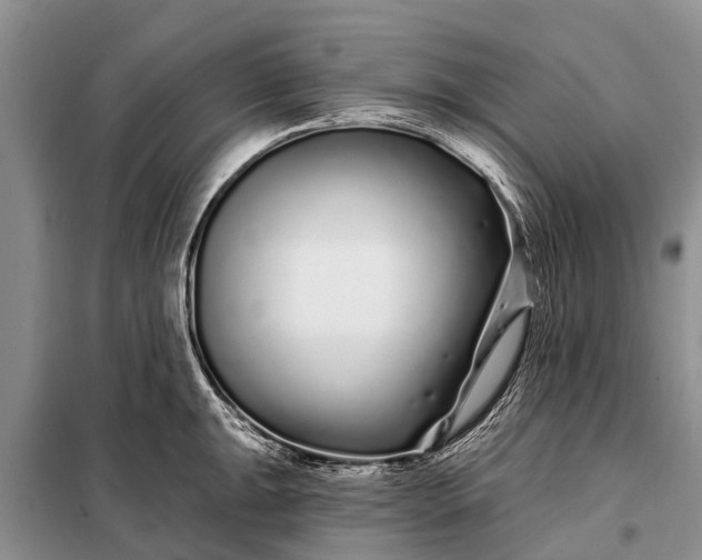 X0000097971047200804071053