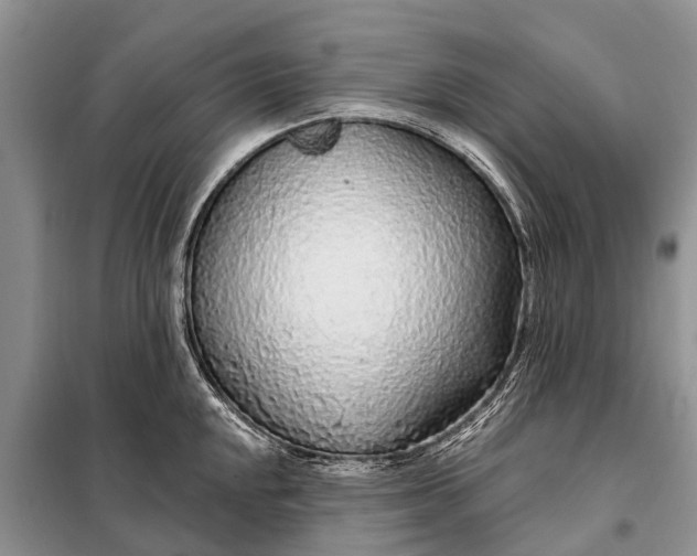 X0000097971048200804071053