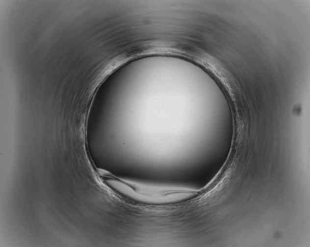 X0000097971049200804071053