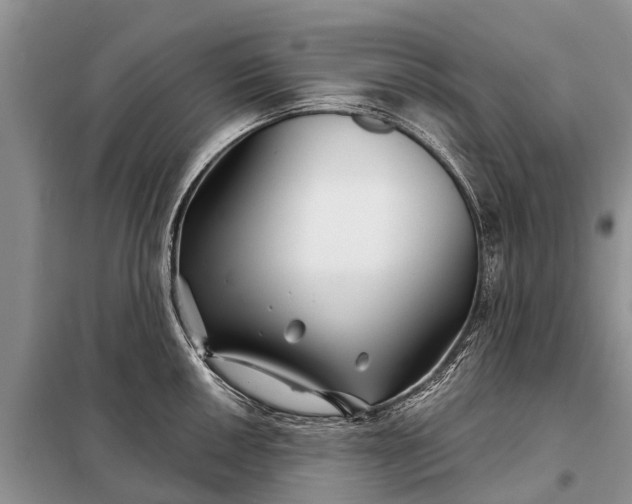 X0000097971050200804071053