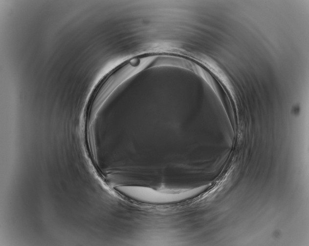 X0000097971053200804071053