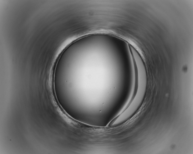 X0000097971054200804071053