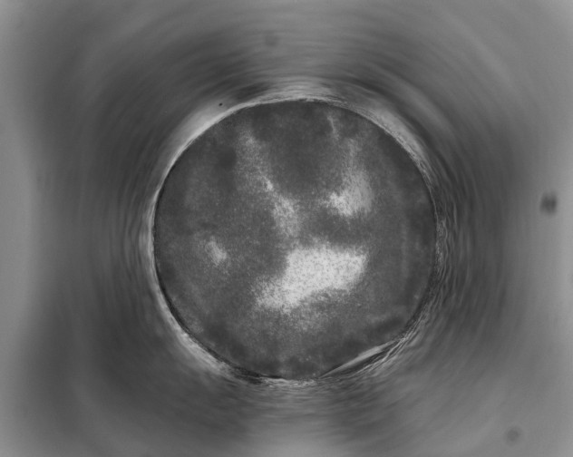 X0000097971055200804071053