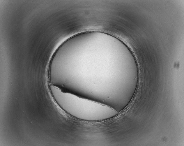 X0000097971056200804071053