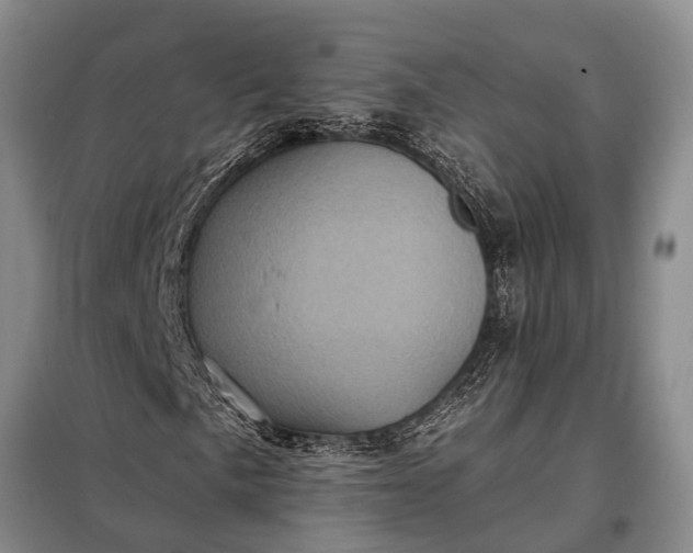 X0000097971057200804071052