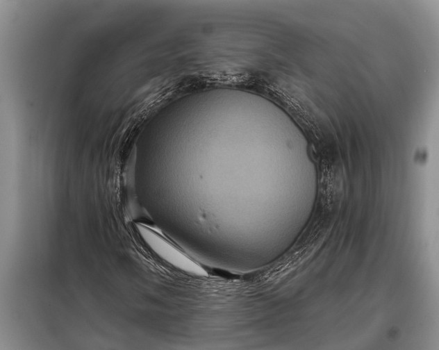 X0000097971058200804071052