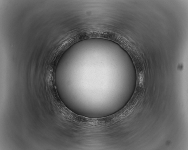 X0000097971059200804071052