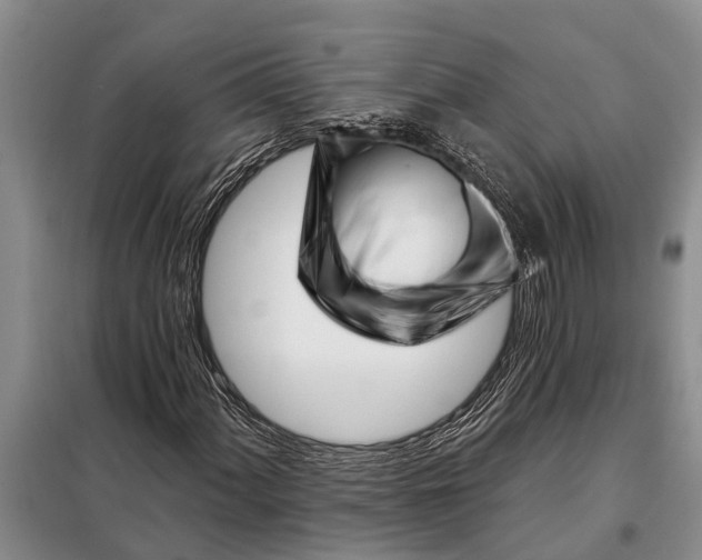 X0000097971060200804071052