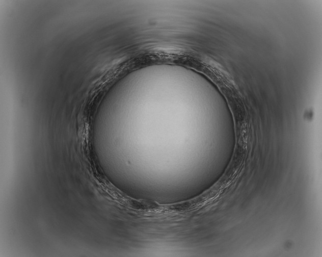 X0000097971061200804071052