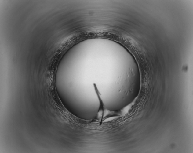 X0000097971062200804071052